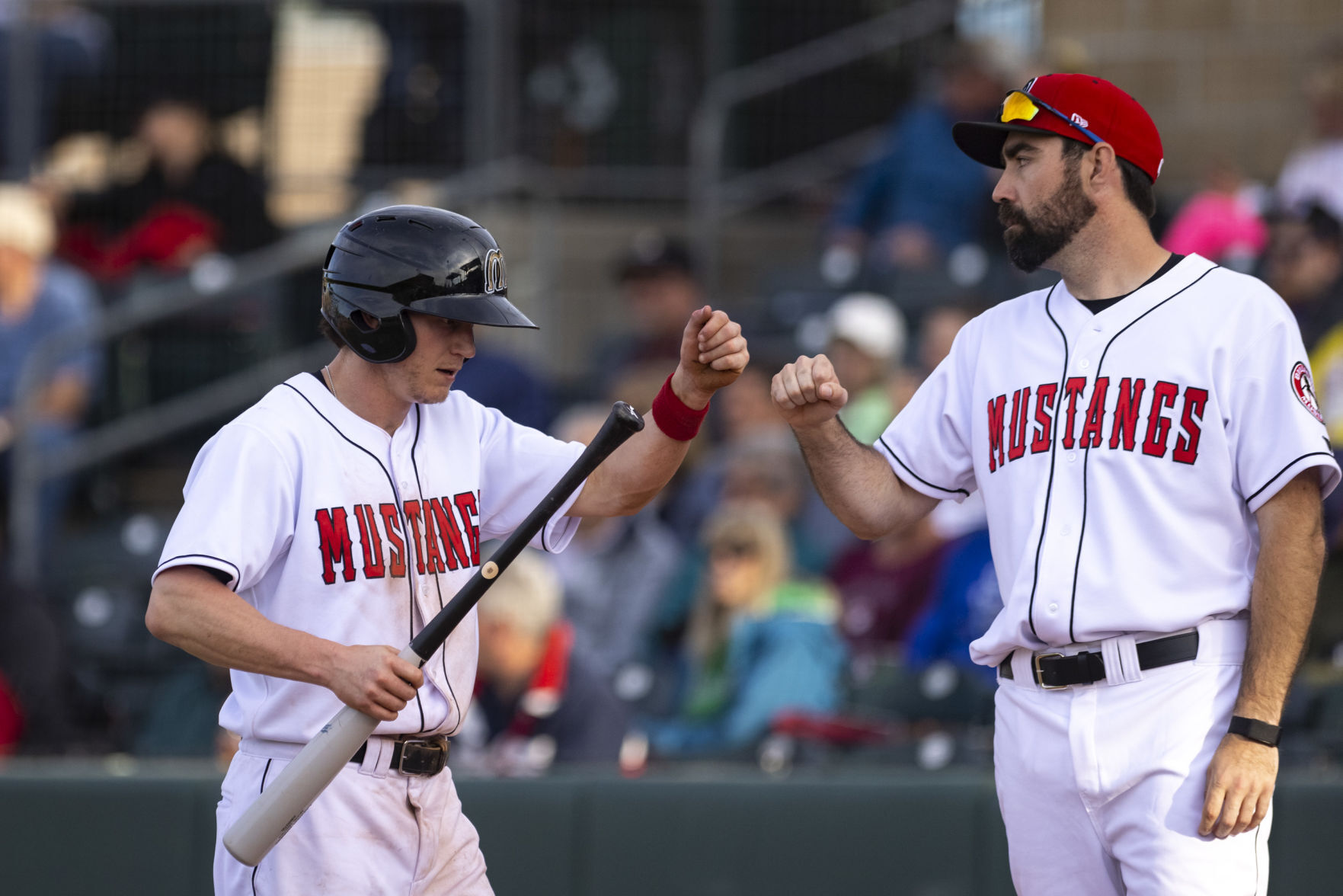 Billings Mustangs vs. Rocky Mountain Vibes